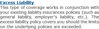 Excess Liability
This type of coverage works in conjunction with your existing liability insurances policies (such as general liability, employer's liability, etc.). The excess liability policy covers you should the limits on the underlying policies are exceeded.